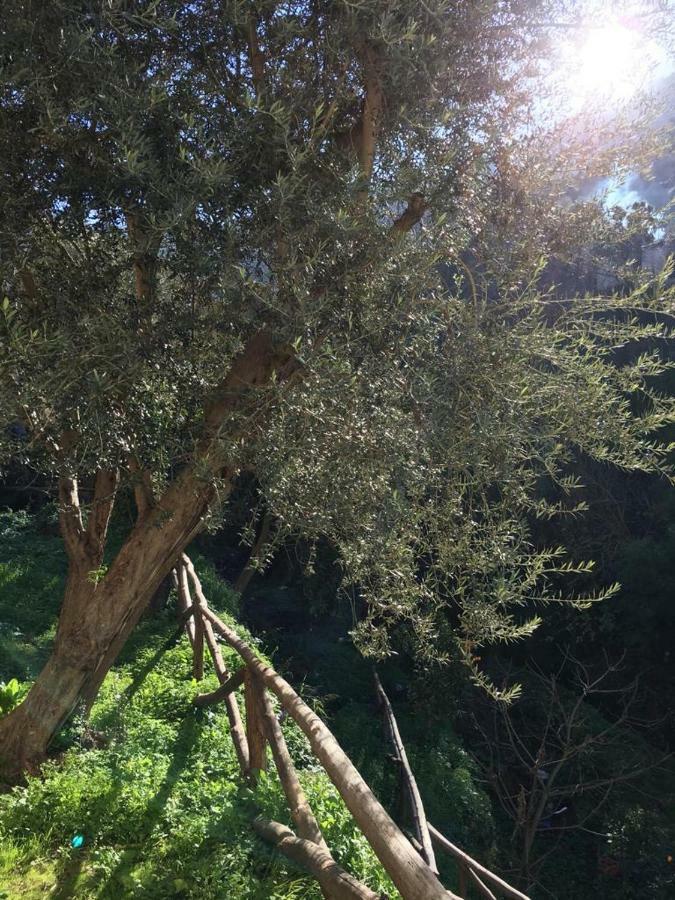 מלון סורנטו Casa D'Amare מראה חיצוני תמונה